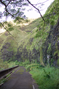 Old Pali Highway.